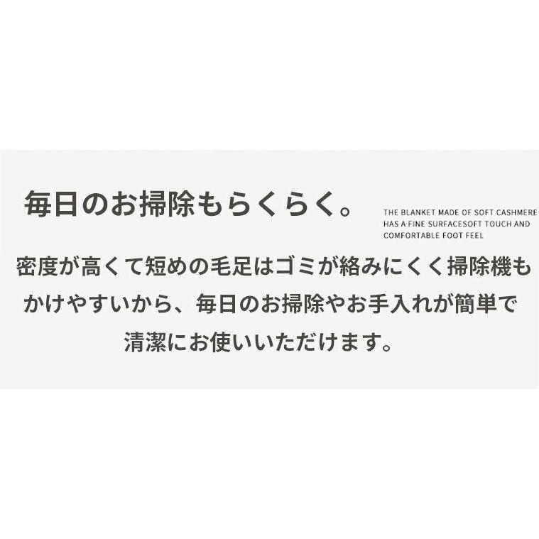 ラグ ラグマット 洗える 北欧 カーペット 滑り止め 絨毯 おしゃれ アンティーク リビング 床暖房対応 オールシーズン ヴィンテージ風 引越し 敷物 マット 新生活｜flagship21｜11