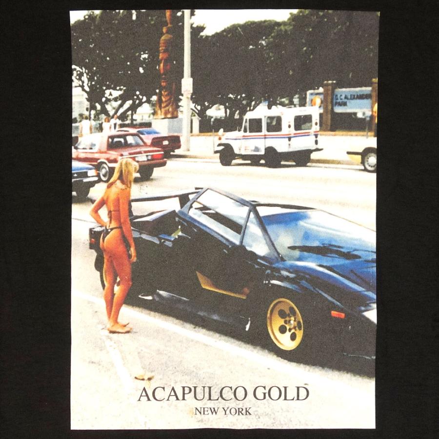 Acapulco Gold/アカプルコゴールド 半袖Tシャツ/PICK UP TEE | ACAPULCO GOLD | 02