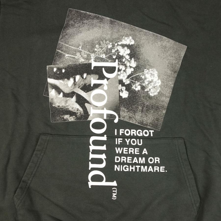 PROFOUND AESTHETIC/プロファウンド エステティックプルオーバーパーカー/DREAM OR NIGHTMARE GRAPHIC PULLOVER HOODIE TOP-324 | PROFOUND AESTHETIC | 01