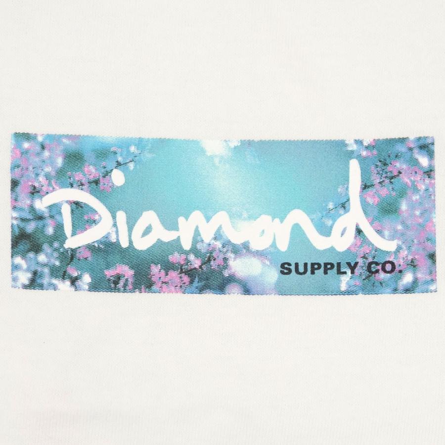 Diamond SUPPLY CO./ダイヤモンドサプライ 半袖 Tシャツ BOXロゴ/FLOWER BOX LOGO TEE A21DMPA004 ストリート スケート スケーター スケボー メンズ レディー | Diamond Supply Co. | 05