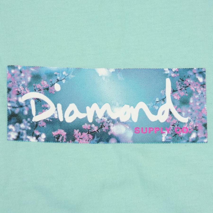 Diamond SUPPLY CO./ダイヤモンドサプライ 半袖 Tシャツ BOXロゴ/FLOWER BOX LOGO TEE A21DMPA004 ストリート スケート スケーター スケボー メンズ レディー | Diamond Supply Co. | 08