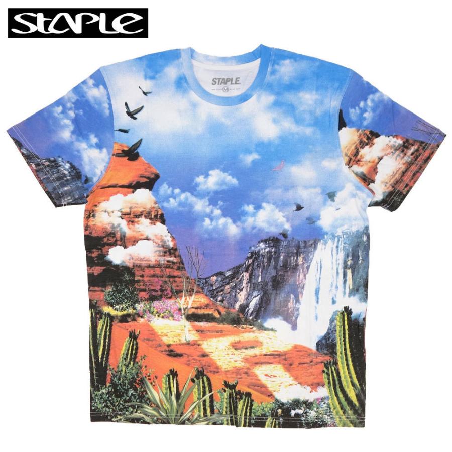 STAPLE/ステイプル Tシャツ 半袖/CANYON AOP TEE 2105C6559/全面プリント 総柄 ストリート メンズ レディース ファッション インポートブランド | staple