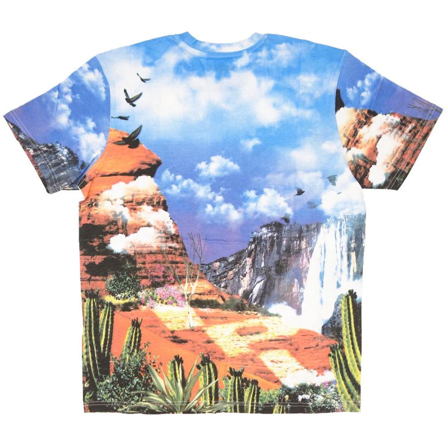 STAPLE/ステイプル Tシャツ 半袖/CANYON AOP TEE 2105C6559/全面プリント 総柄 ストリート メンズ レディース ファッション インポートブランド | staple | 03