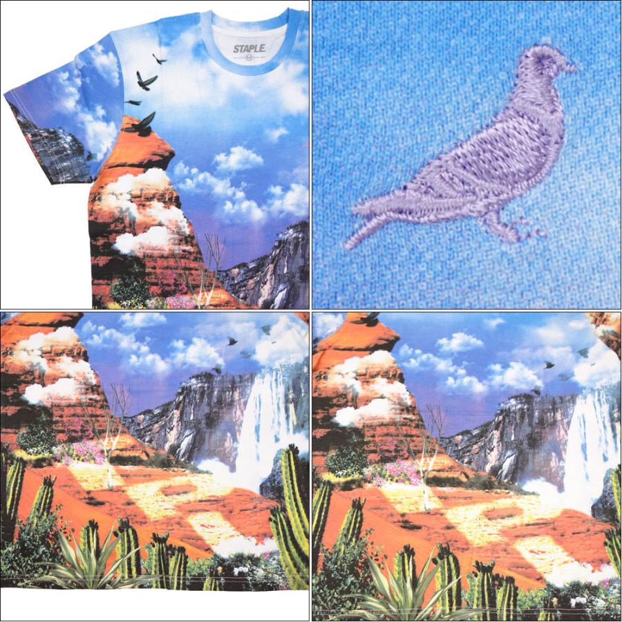 STAPLE/ステイプル Tシャツ 半袖/CANYON AOP TEE 2105C6559/全面プリント 総柄 ストリート メンズ レディース ファッション インポートブランド | staple | 04