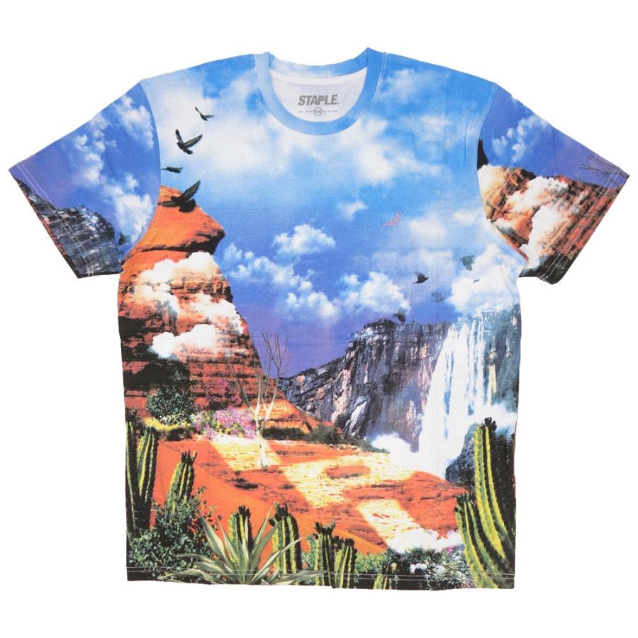STAPLE/ステイプル Tシャツ 半袖/CANYON AOP TEE 2105C6559/全面プリント 総柄 ストリート メンズ レディース ファッション インポートブランド | staple | 05