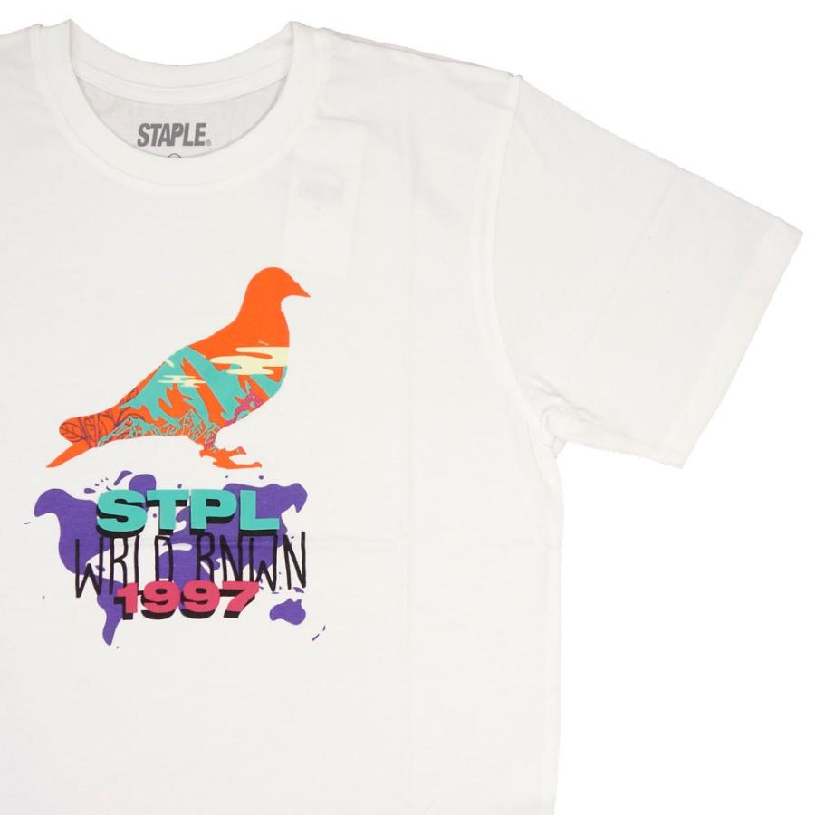 STAPLE/ステイプルTシャツ 半袖/LANDSCAPE PIGEON TEE 2105C6568/ストリート メンズ レディース ファッション インポートブランド | staple | 01
