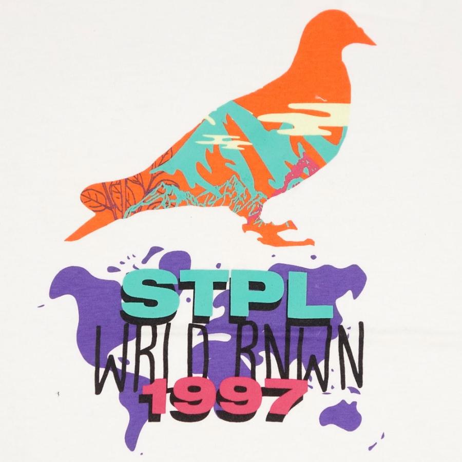 STAPLE/ステイプルTシャツ 半袖/LANDSCAPE PIGEON TEE 2105C6568/ストリート メンズ レディース ファッション インポートブランド | staple | 02