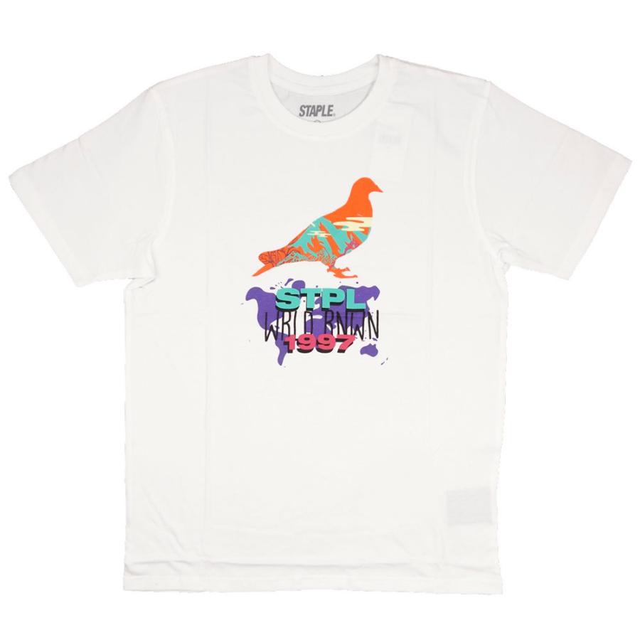 STAPLE/ステイプルTシャツ 半袖/LANDSCAPE PIGEON TEE 2105C6568/ストリート メンズ レディース ファッション インポートブランド | staple | 05