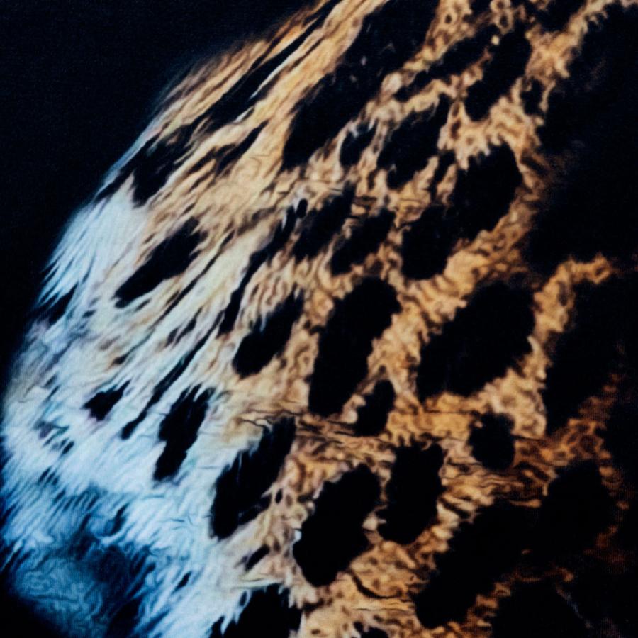 reversal/リバーサル Tシャツ 長袖 オーバーサイズ ロンT/PEs MVS OVER SIZE LONG SLEEVE rv23aw153｜ビッグシルエット 速乾素材 スポーツ トレーニング ジム | reversal | 05