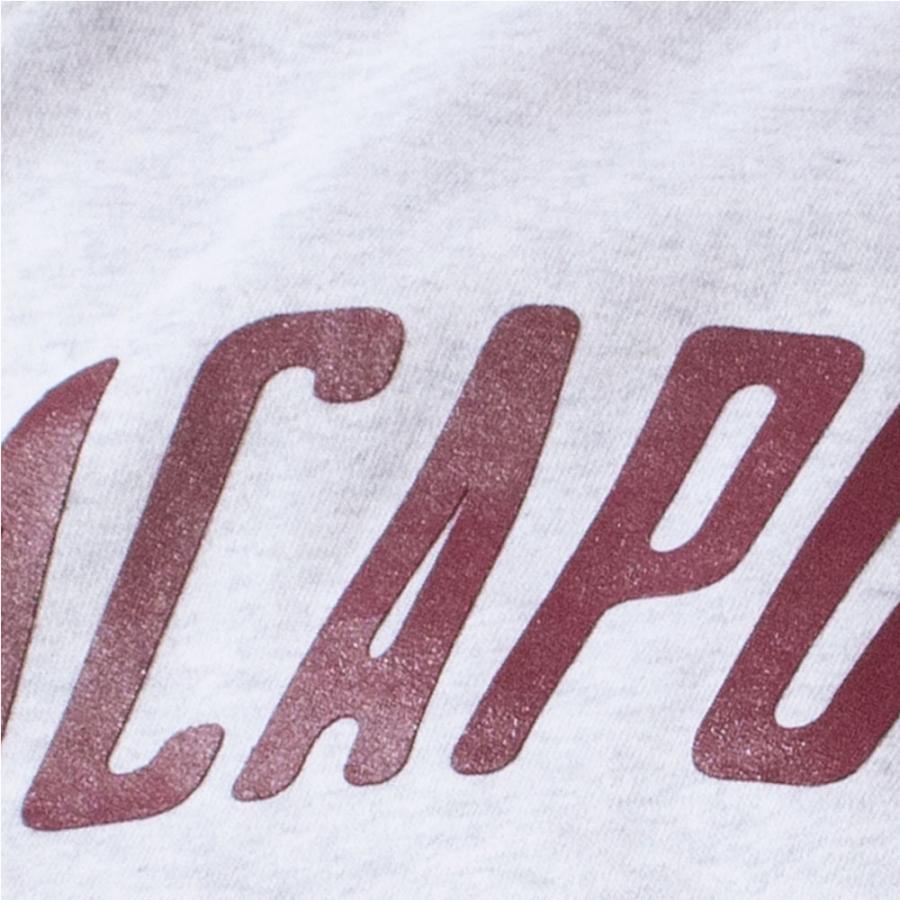 Acapulco Gold/アカプルコゴールド クルーネック スウェット/VARSITY RAGLAN SLEEVE CREW SWEAT｜クルースウェット トレーナー ラグラン ストリート スケータ | ACAPULCO GOLD | 07
