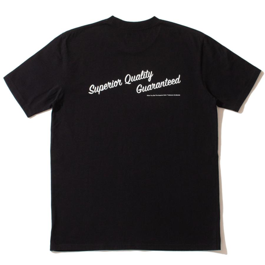 Acapulco Gold/アカプルコゴールド｜Tシャツ 半袖 コットン/6.5oz 100％ COMBED COTTON｜ストリート スケーター メンズファッション | ACAPULCO GOLD | 02