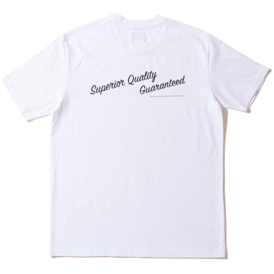 Acapulco Gold/アカプルコゴールド｜Tシャツ 半袖 コットン/6.5oz 100％ COMBED COTTON｜ストリート スケーター メンズファッション | ACAPULCO GOLD | 05