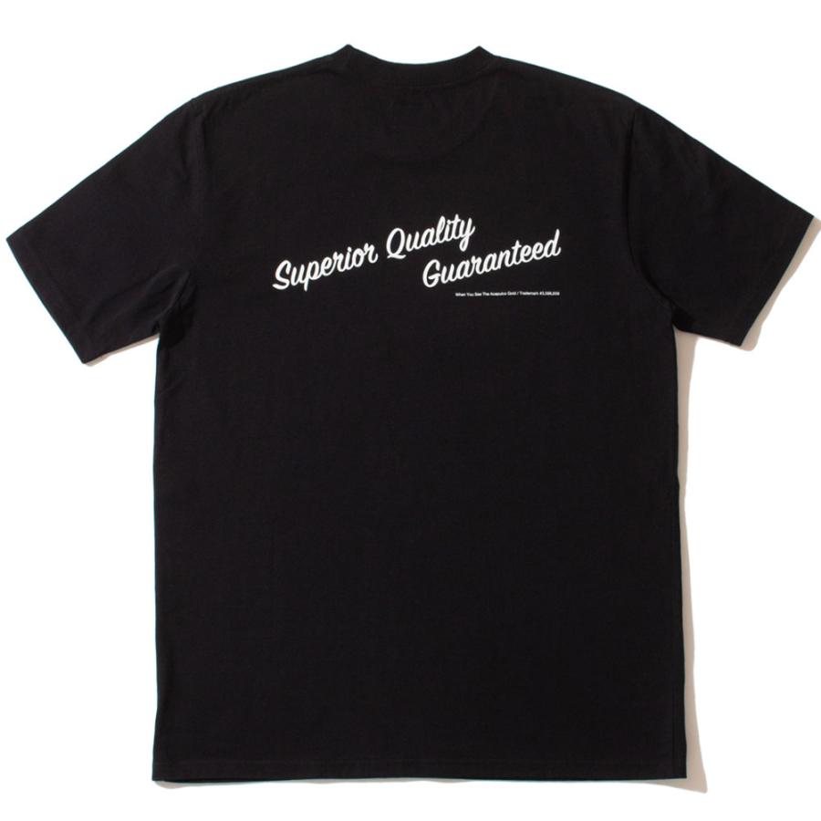 Acapulco Gold/アカプルコゴールド｜Tシャツ 半袖 コットン/6.5oz 100％ COMBED COTTON｜ストリート スケーター メンズファッション | ACAPULCO GOLD | 07