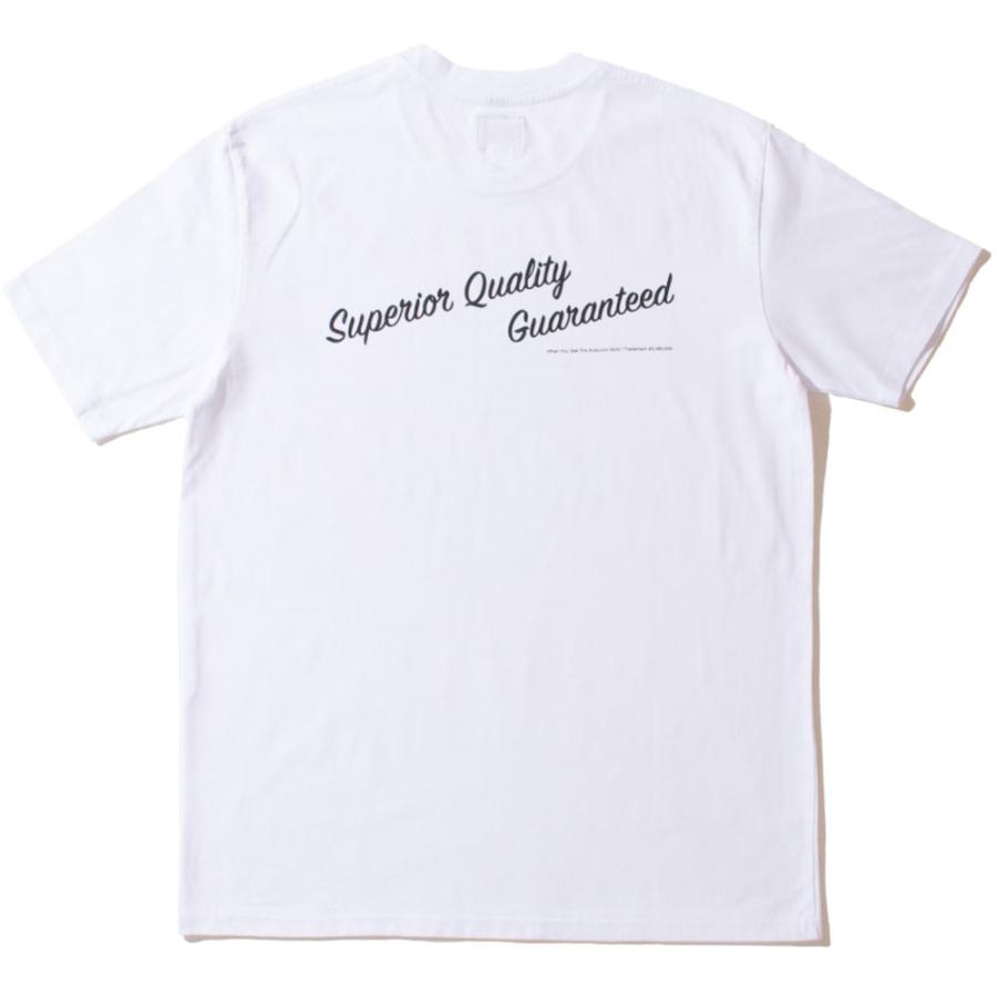 Acapulco Gold/アカプルコゴールド｜Tシャツ 半袖 コットン/6.5oz 100％ COMBED COTTON｜ストリート スケーター メンズファッション | ACAPULCO GOLD | 09