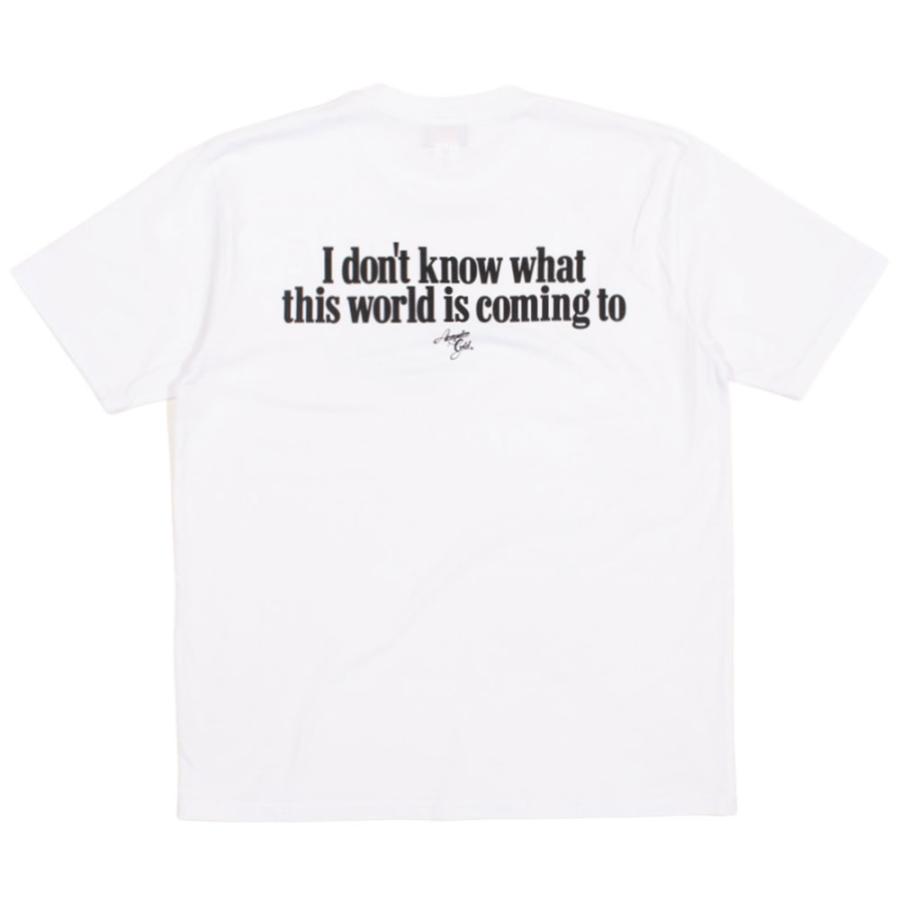 Acapulco Gold/アカプルコゴールド｜Tシャツ 半袖 コットン/GET IT TOGETHER TEE AG SP26-18｜グラフィック Tee ストリート スケーター | ACAPULCO GOLD | 06