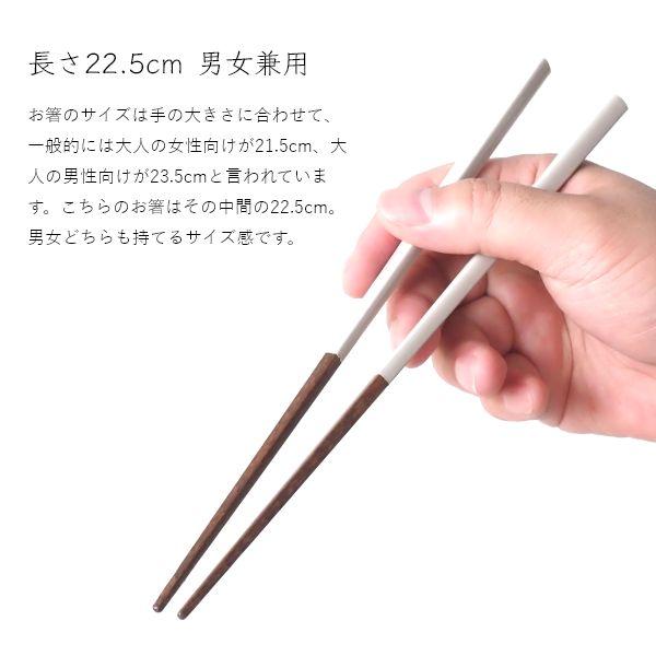 お箸 食洗機対応 日本製 ナチュラルデイ 22.5cm おしゃれ 木製 はし 若狭塗 滑らない 滑り止め もちやすい シンプル 大人 記念品 ギフト 普段使い 来客用 | ブランド登録なし | 03