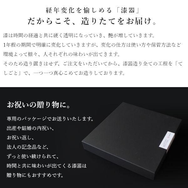 Nuul 長浜漆器 丸プレート 23.5cm 皿 丸皿 和食器 国産 漆器 うつわ パスタ皿 カレー皿 ワンプレート 大きめ ギフト おしゃれ カフェ | ブランド登録なし | 03