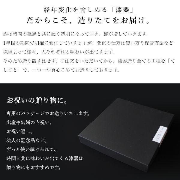 Nuul 長浜漆器 丸プレート 19cm 皿 丸皿 和食器 国産 漆器 うつわ パスタ皿 カレー皿 ワンプレート 中皿 ギフト おしゃれ カフェ | ブランド登録なし | 03