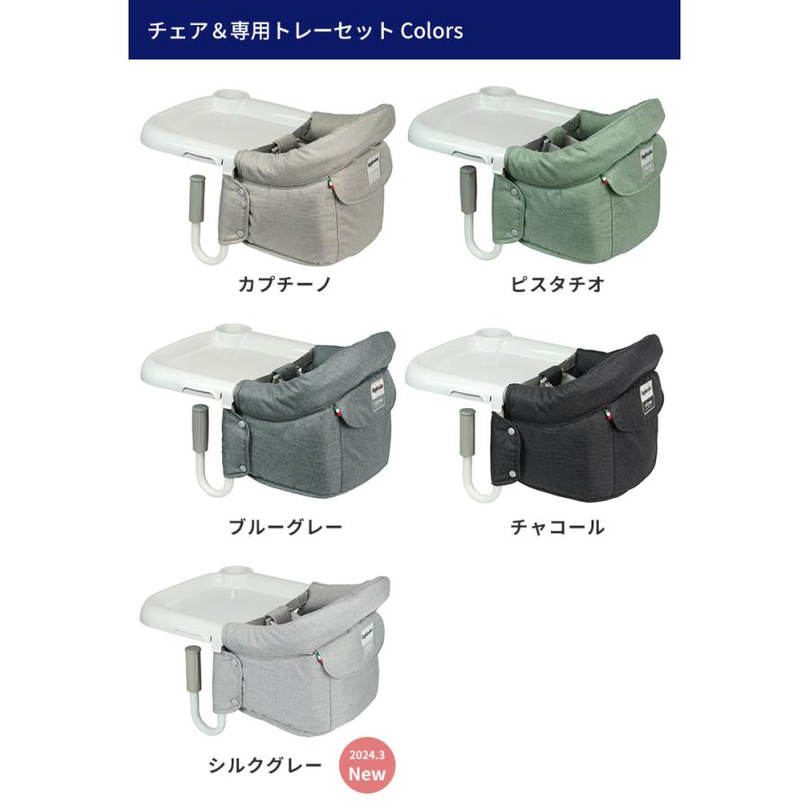 選べる2点セット イングリッシーナ トレーセットスタンダードタイプ＋ 