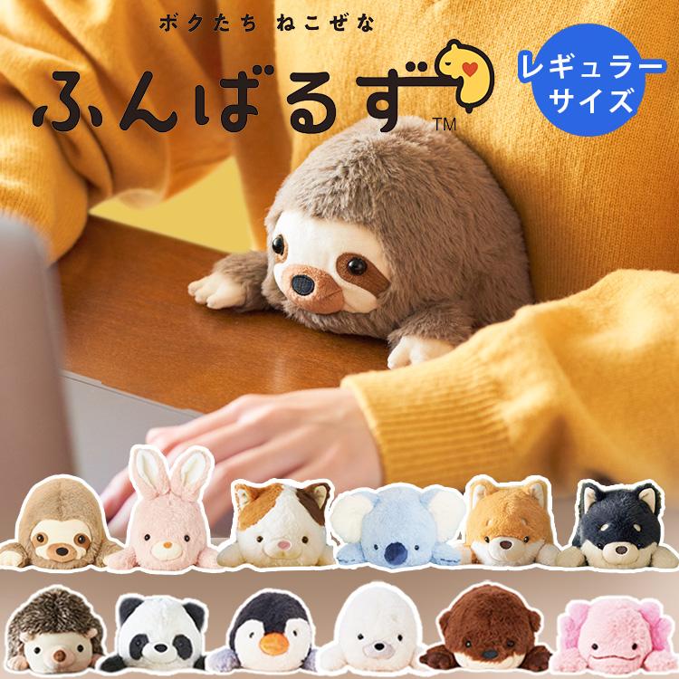 Dreams ふんばるず Regular レギュラーサイズ(L) 猫背 解消 矯正 Dreams ふんばるず Regular レギュラーサイズ(L) 猫背 解消 矯正