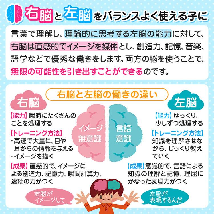 6冊セット 七田式 知力ドリル 4歳 5歳 6歳 知育 未就学 工作 図形 道徳 計算 幼児 ドリル 教育 勉強 学習｜flaner-baby｜11