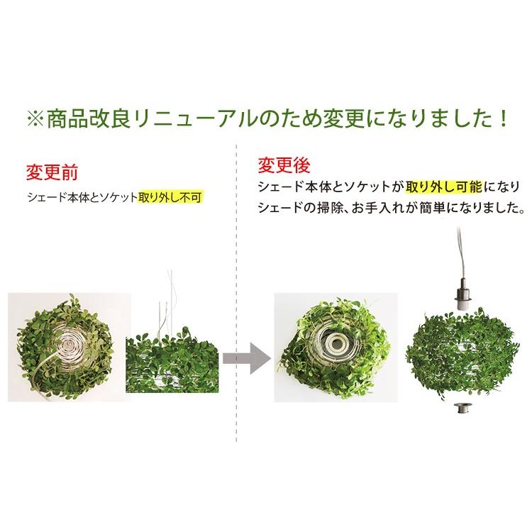 DI CLASSE（ディクラッセ） DI CLASSE Orland-big （オーランドビッグ