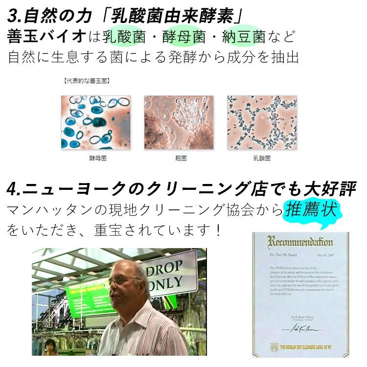 善玉バイオ浄JOE （単品 （ドラム式洗濯機用洗剤 1.3kg : flaner