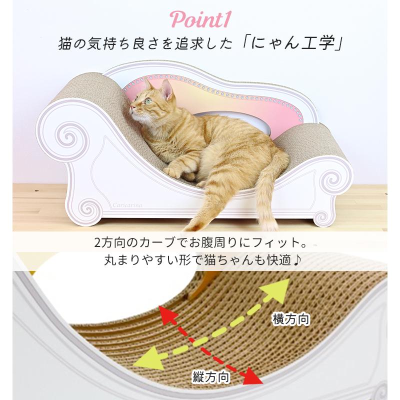 6/20「坂上どうぶつ王国」出演/ カリカリーナ ベーシック