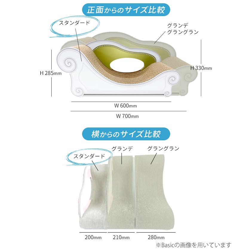 6/20「坂上どうぶつ王国」出演/ カリカリーナ ルーチェ