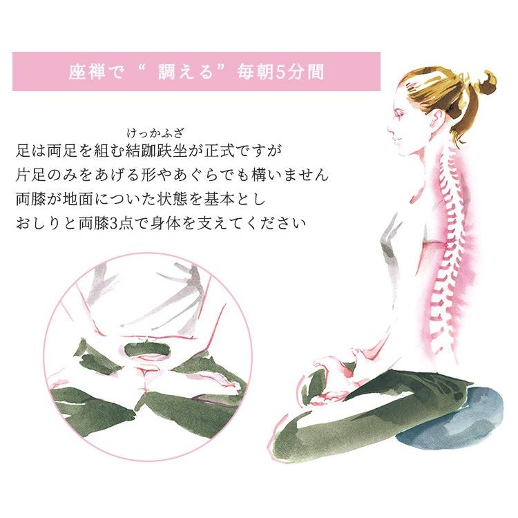 正規販売店 ZAF MASTER ザフ マスター リフレッシュクッション 座禅 ヨガ 瞑想の画像