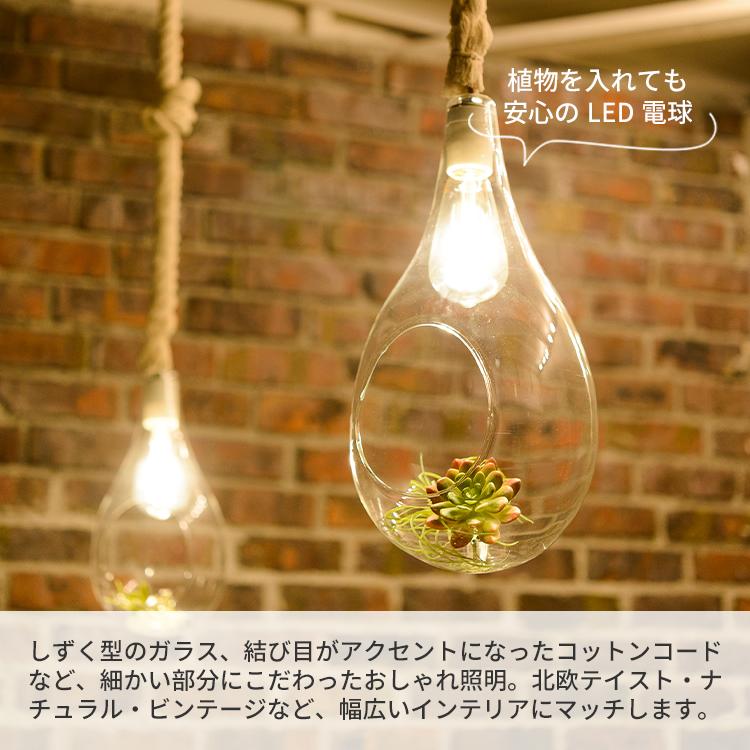 BOTANIC HANGING LIGHT M ボタニック ハンギングライト APEー021WH