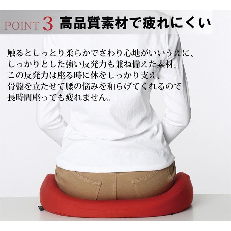 Hnos シートクッション 長時間座る人のための クッション Ksda 在庫有 F Flaner 通販 Yahoo ショッピング