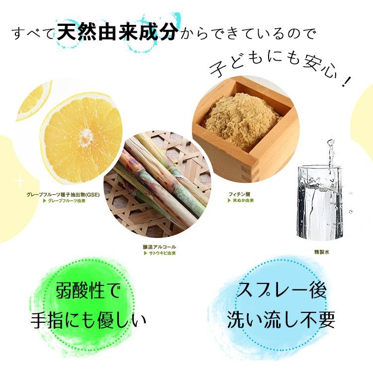 デイリーミスト daily mist 600ml 天然除菌・抗菌スプレー