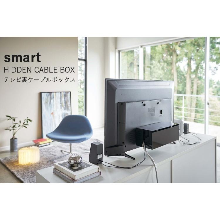 テレビ裏ケーブルボックス smart （スマート） HIDDEN CABLE BOX/山崎
