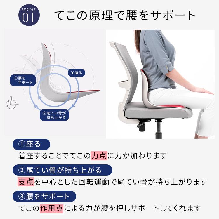 『特価＊美品』Curble カーブルチェア ワイド 骨盤サポート　2点セット Amazon.co.jp: カーブルチェア ワイド 2個セット 骨盤から姿勢を