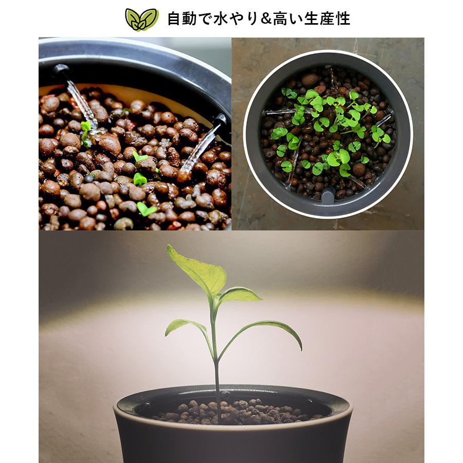 正規販売店 ボタニアム Botanium スマート水耕栽培プランター Inv ワールドビジネスサテライトで紹介 F Flaner 通販 Yahoo ショッピング