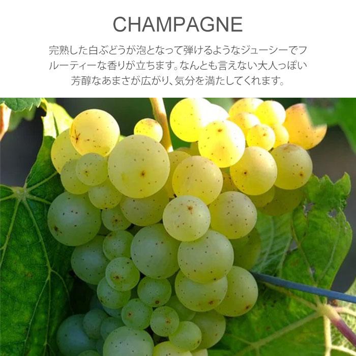 ショーレイヤード ディフューザー 500ml セントネーションズ