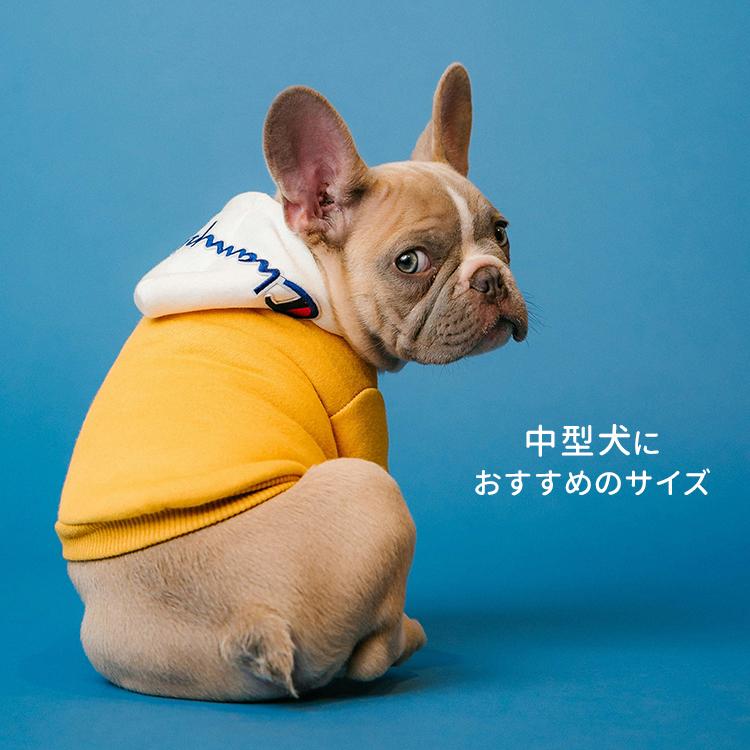 ペットボール M ル・クルーゼ ペット LE CREUSET PET（GK） ペット