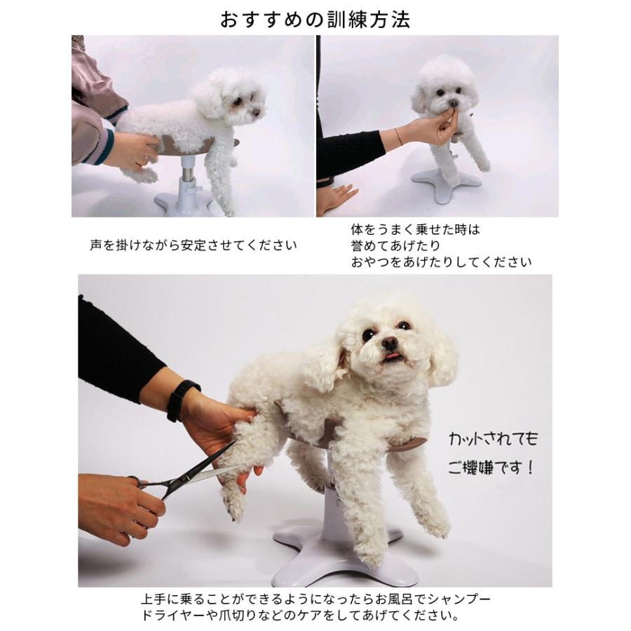 SAMSON SALON 歩き回れる 12800円トリミング パピー 犬用 椅子 SAMSON SALON 歩き回れる 12800円トリミング パピー 犬用 椅子