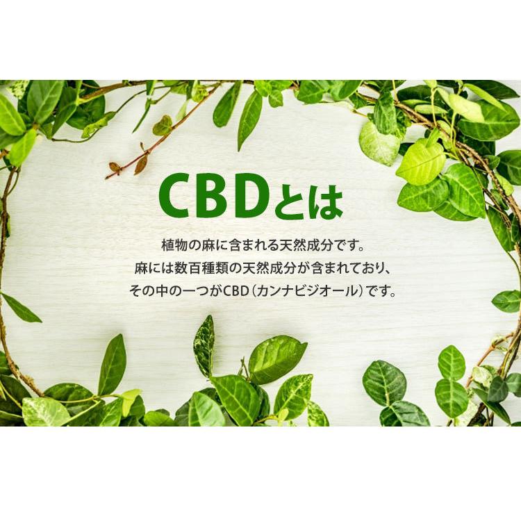 CBDクリーム CANOVY 40g CBD CREAM 高純度CBD 100mg含有 (DM) : flaner