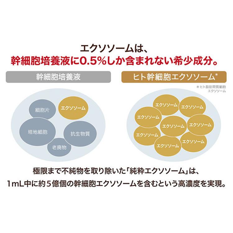 ルジュ Lejeu フェイスアップセラム 33ml FACE UP SERUM ヒト幹細胞