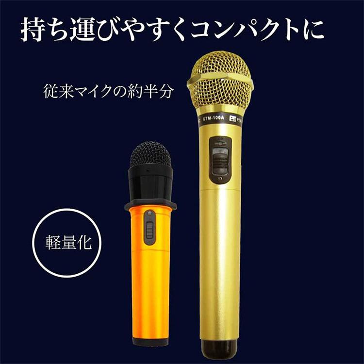 マイマイク PRO GTMー200 カラオケ ワイヤレスマイク : flaner
