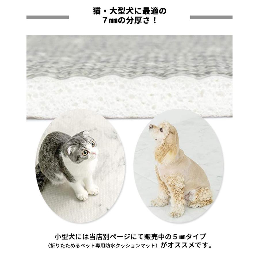 選べる特典付/dfang ディパン 引っかきに強い防水クッション