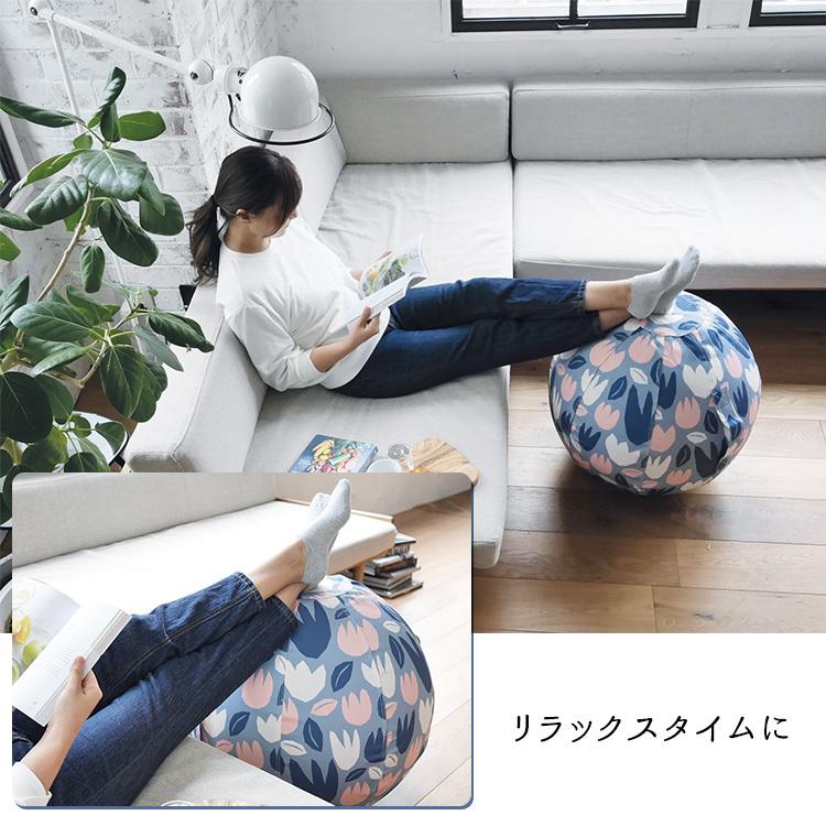 モイク バランス ボール 55cm moiku Balance Ball グローバルアロー