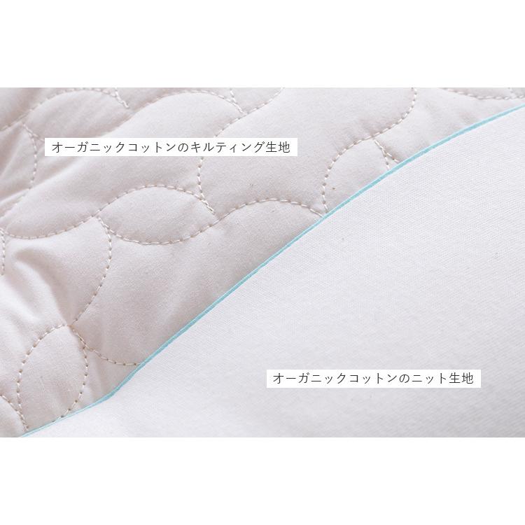 Megumi メグミネイチャーメイド 枕 レギュラー （35×55cm） ビオ