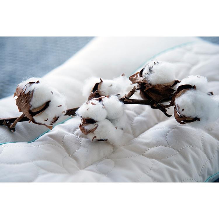 【新品】メグミ ネイチャーメイド枕 ビオレックス_ファミリーセット（3点セット） Megumi メグミネイチャーメイド 枕 レギュラー （35×55cm） ビオ