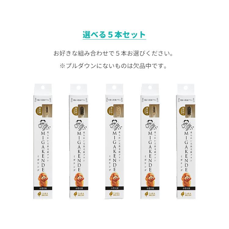 選べる5本セット 犬用 天然毛歯ブラシ MIGAKENDE ミガケンデ 小型犬用