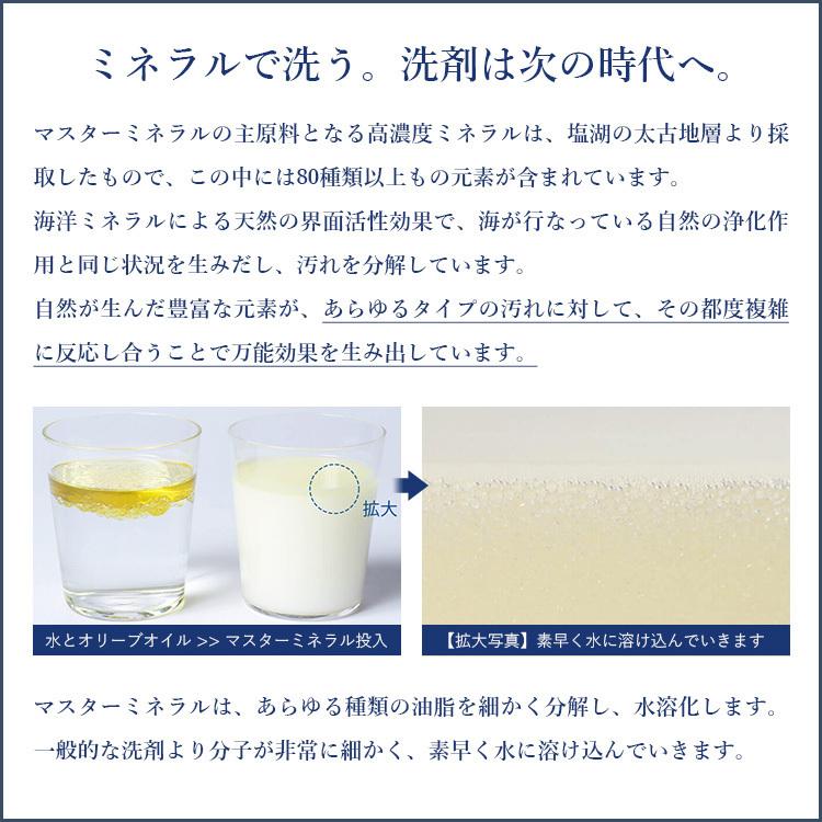 masterminerals マスターミネラル 1000ml /海外× : flaner - 通販