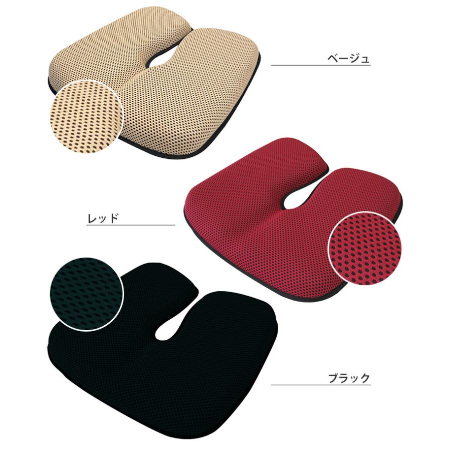 ERGOLAKS＋ エルゴラクス プラス ER09100 快適クッション 1年保証