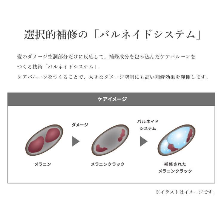フローディア シャンプー＆トリートメント セット 550mL＋550g FLOWDIA